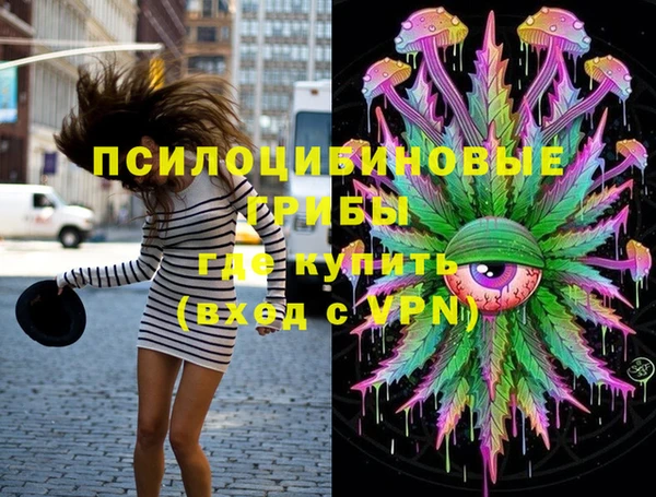 spice Лагань