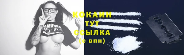 spice Лагань