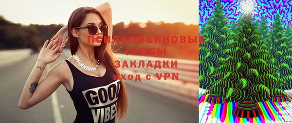 spice Лагань