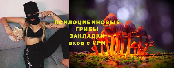 spice Лагань
